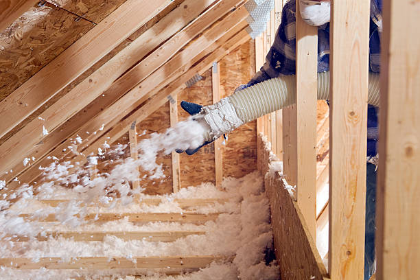 Best Garage Insulation  in Moncks Corner, SC